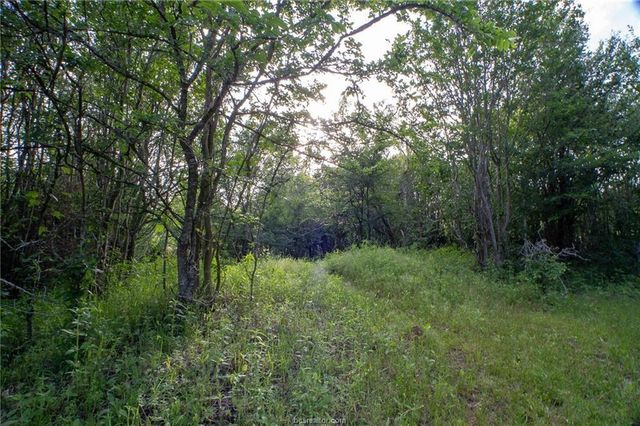 9525 S Hickory Loop County Road, Calvert, TX 77837