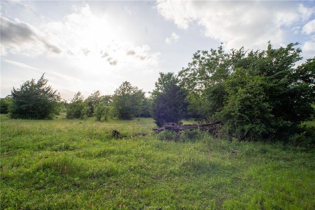 9525 S Hickory Loop County Road, Calvert, TX 77837