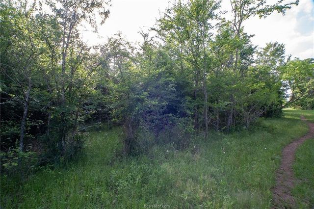 9525 S Hickory Loop County Road, Calvert, TX 77837