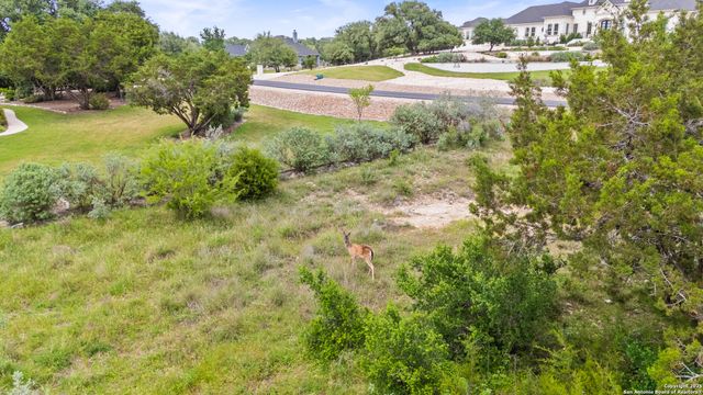2542 Black Bear Drive, New Braunfels, TX 78132