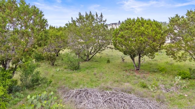 2542 Black Bear Drive, New Braunfels, TX 78132