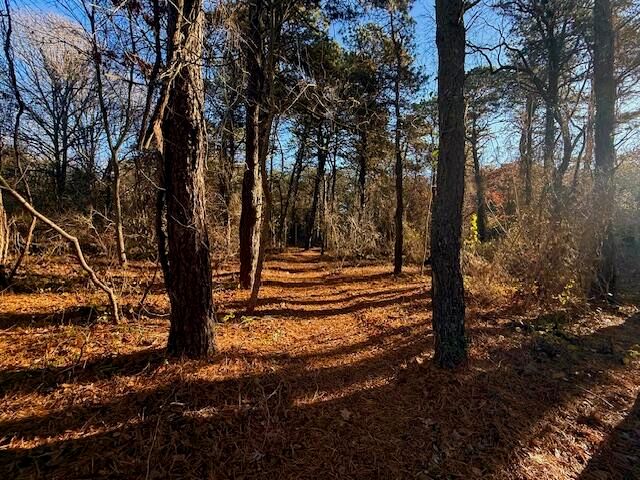 309 Great Fields Road, Brewster, MA 02631