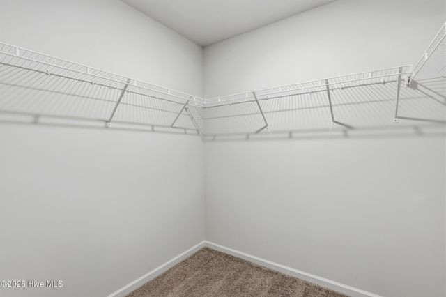 6201 Centipede Place Lot 163, Castle Hayne, NC 28429