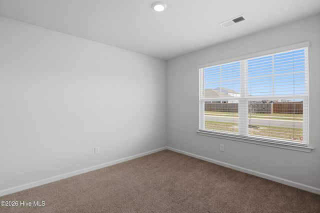 6201 Centipede Place Lot 163, Castle Hayne, NC 28429