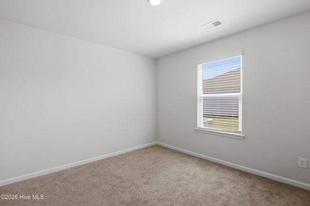 6201 Centipede Place Lot 163, Castle Hayne, NC 28429