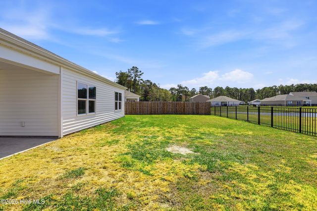 6201 Centipede Place Lot 163, Castle Hayne, NC 28429