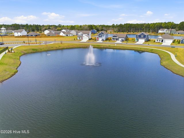 6201 Centipede Place Lot 163, Castle Hayne, NC 28429