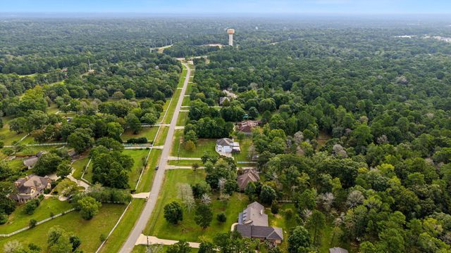 421 Trace Way Drive, Montgomery, TX 77316