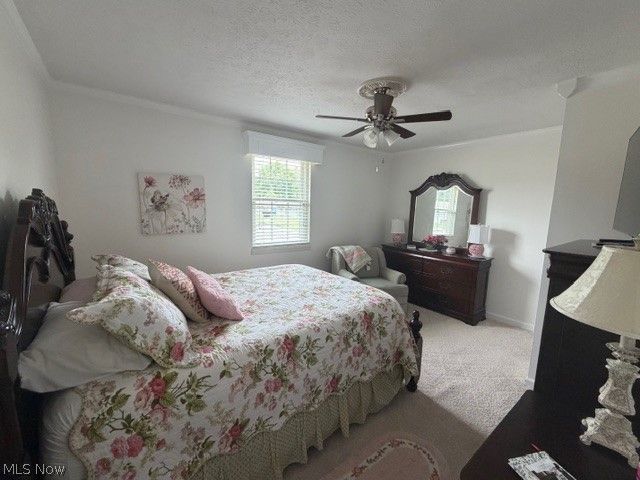 601 Mckenna Drive, Williamstown, WV 26187