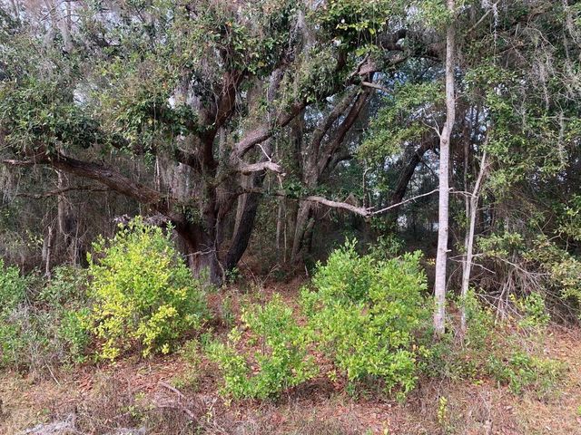 0 SW 30th place, Ocala, FL 34481