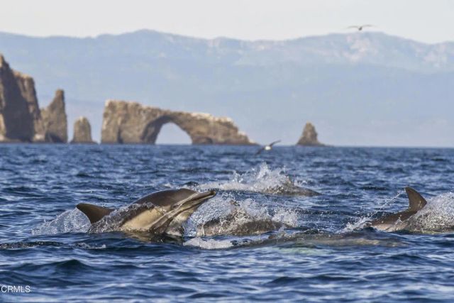 967 Greensboro Road, Ventura, CA 93004