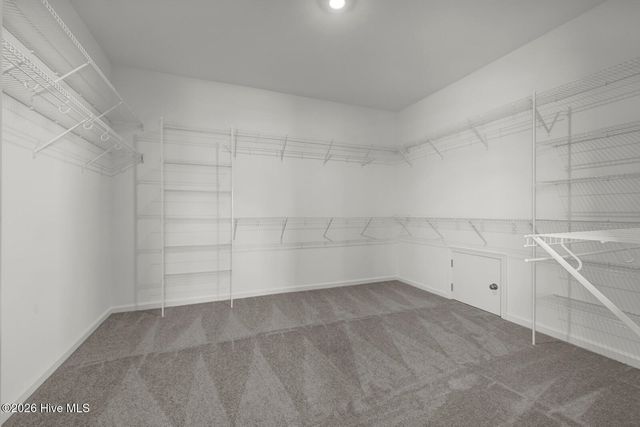 1189 Sunwater Terrace, Leland, NC 28451