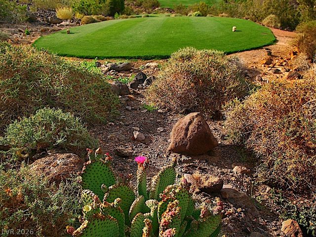 489 Rock Peak Drive, Henderson, NV 89012