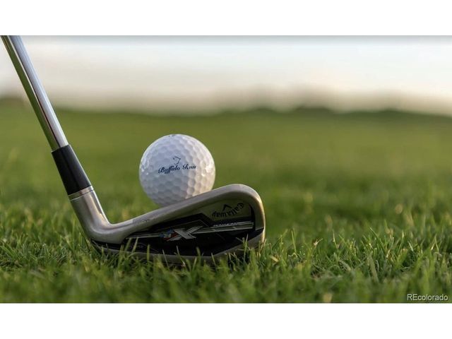 16153 E 109th Ave, Commerce City, CO 80022