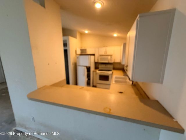 3190 Lema Drive, Spring Hill, FL 34609