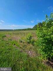 LOT 1 HARBESON RD, Harbeson, DE 19951