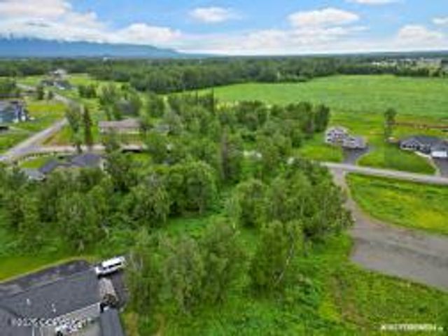 15161 E Rocky Point Drive, Palmer, AK 99645