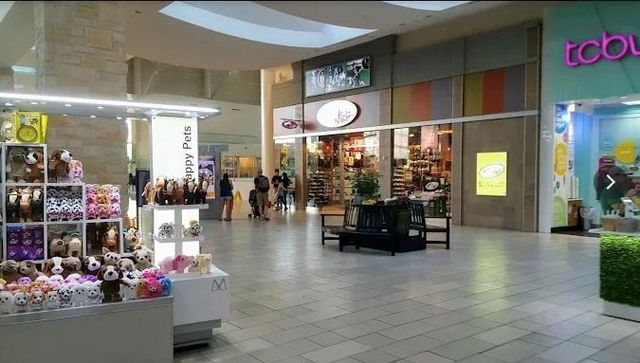 13911 Briar Place Drive, Houston, TX 77077