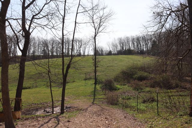 1138 Amish Loop, Seymour, MO 65746