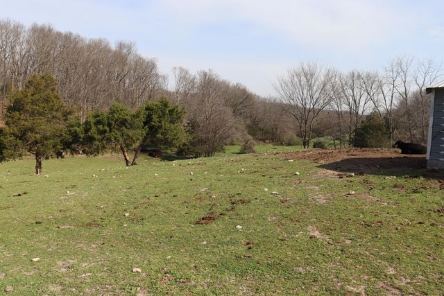 1138 Amish Loop, Seymour, MO 65746