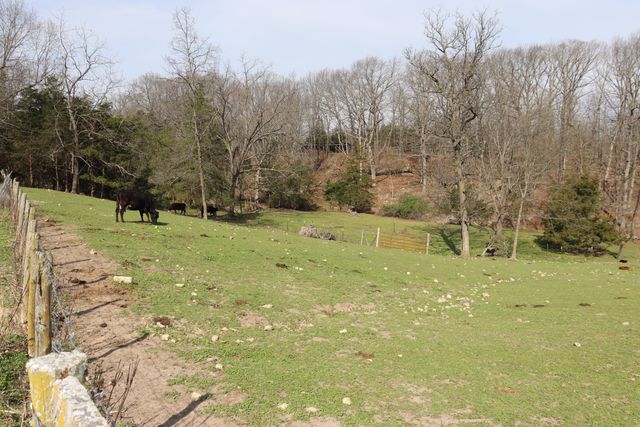 1138 Amish Loop, Seymour, MO 65746