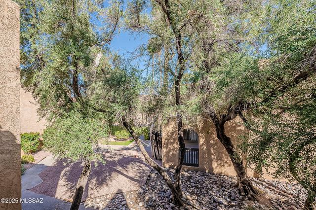 508 N Dodge Boulevard, Tucson, AZ 85716