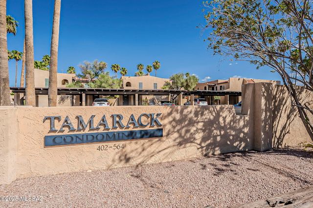 508 N Dodge Boulevard, Tucson, AZ 85716