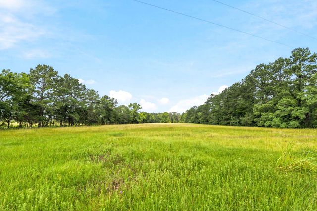 Lot 1 Mount Zion Road, New Waverly, TX 77358