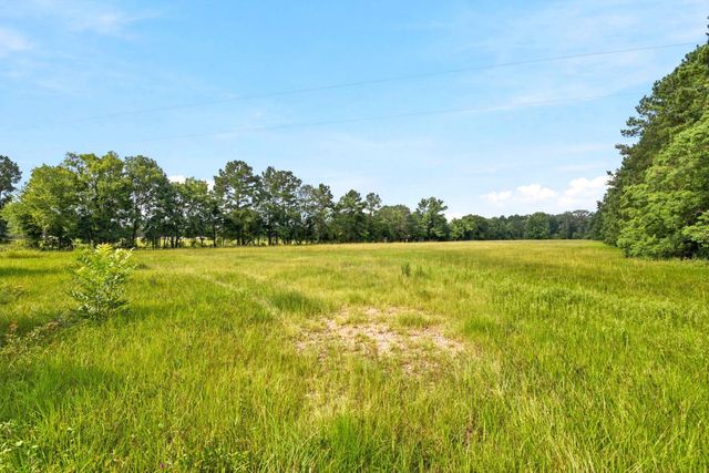 Lot 1 Mount Zion Road, New Waverly, TX 77358