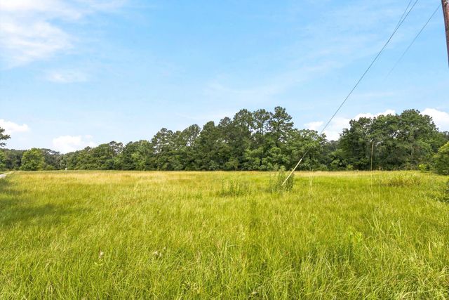 Lot 1 Mount Zion Road, New Waverly, TX 77358