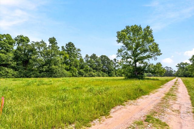 Lot 1 Mount Zion Road, New Waverly, TX 77358