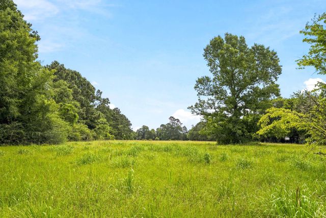 Lot 1 Mount Zion Road, New Waverly, TX 77358