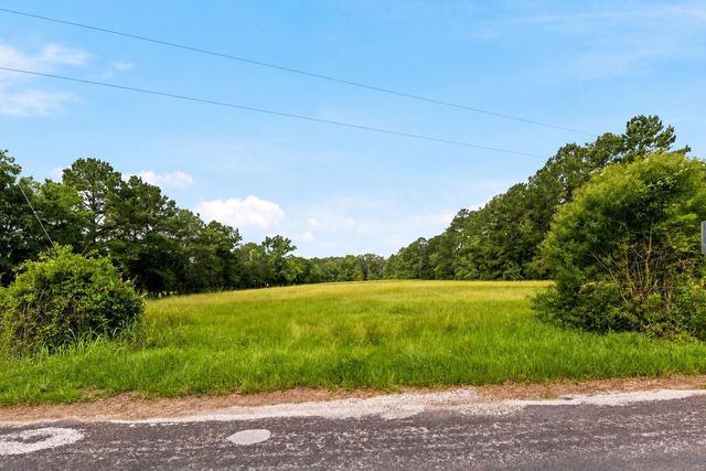 Lot 1 Mount Zion Road, New Waverly, TX 77358