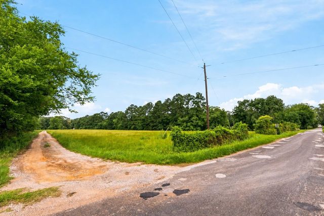 Lot 1 Mount Zion Road, New Waverly, TX 77358