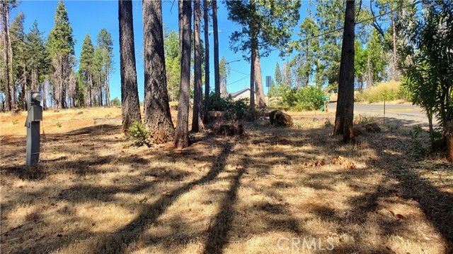 13865 W Park Drive, Magalia, CA 95954