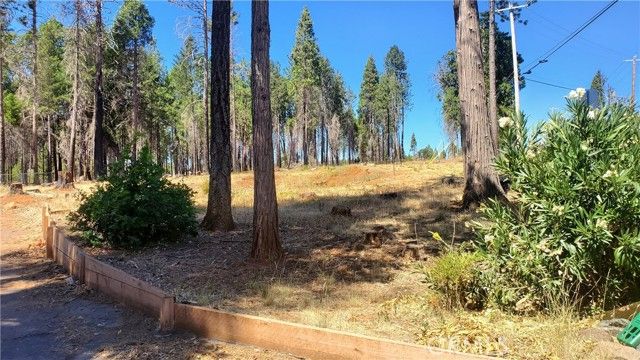 13865 W Park Drive, Magalia, CA 95954