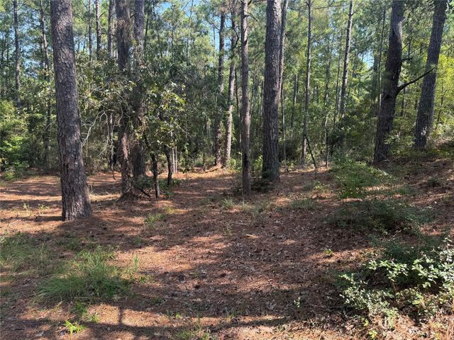 164 Pine Hollow Cove, Brookeland, TX 75931