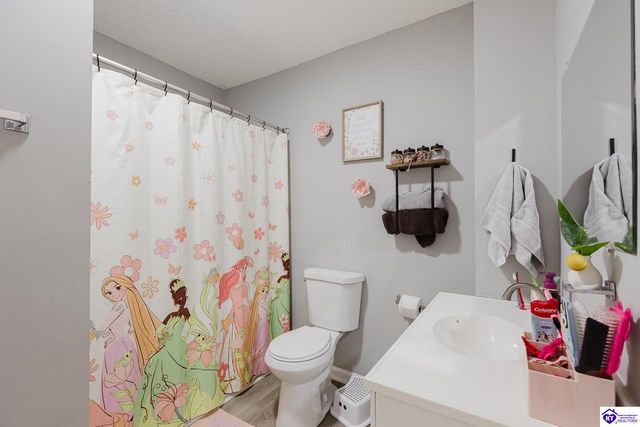 530 Old Flaherty Road, Ekron, KY 40117