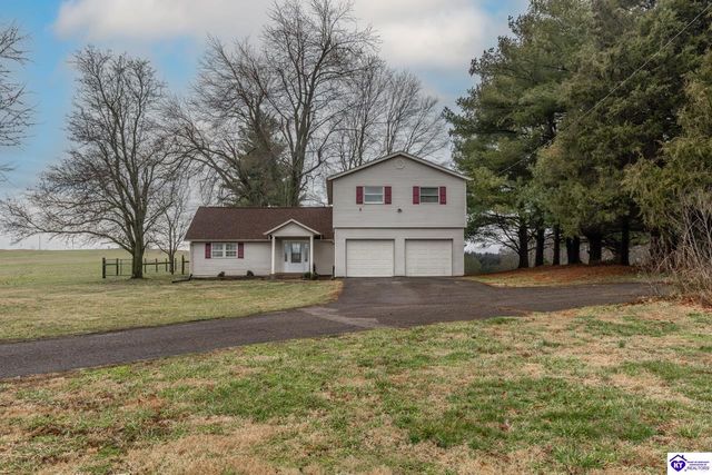 530 Old Flaherty Road, Ekron, KY 40117