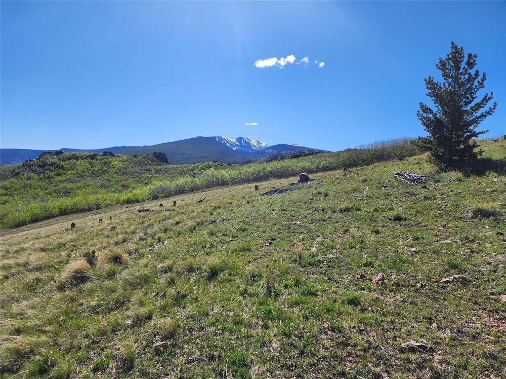 NHN Alpha Lode & Alpha Fraction Lode, Alpha Trail, Anaconda, MT 59711 photo 26