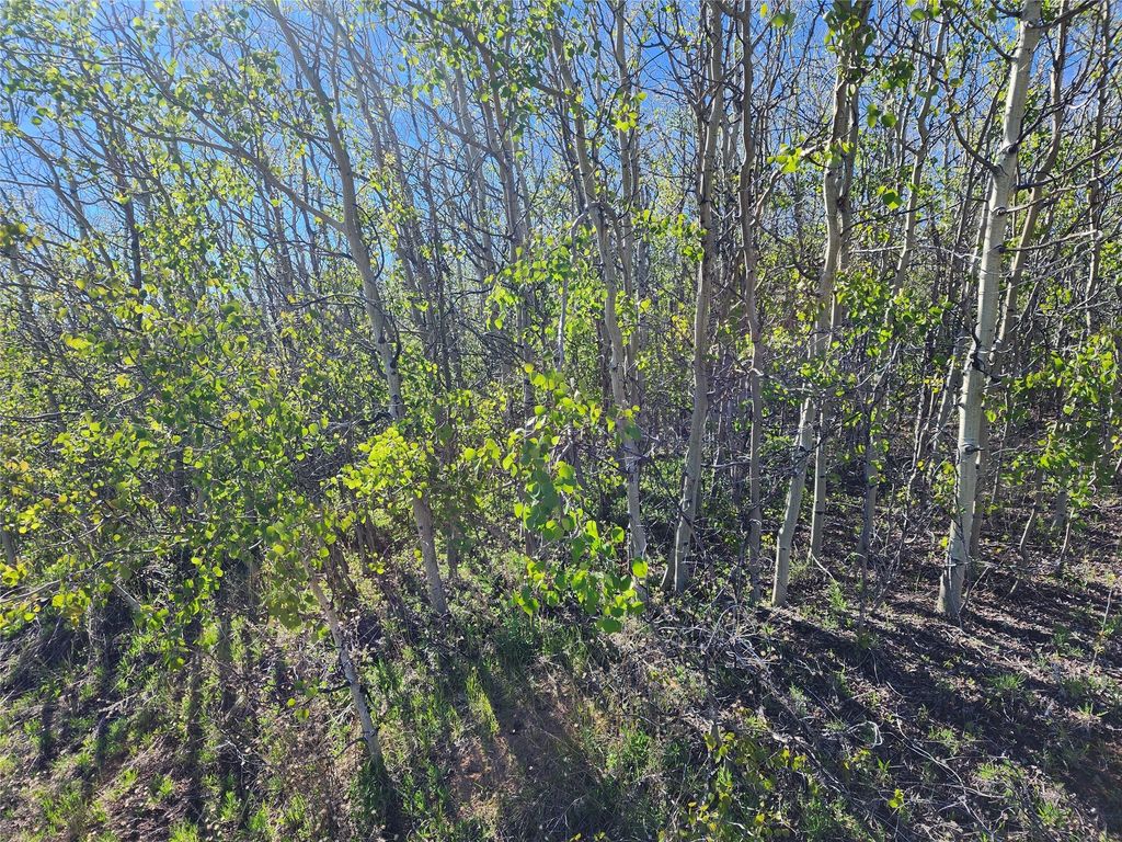 NHN Alpha Lode & Alpha Fraction Lode, Alpha Trail, Anaconda, MT 59711 photo 29