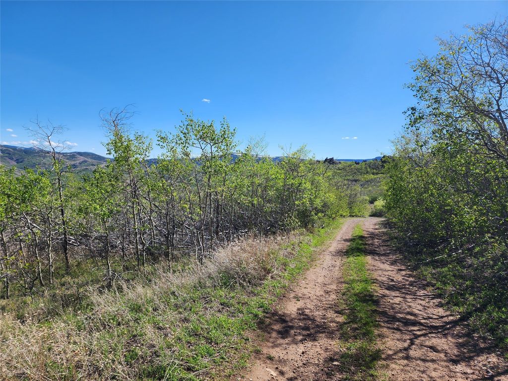 NHN Alpha Lode & Alpha Fraction Lode, Alpha Trail, Anaconda, MT 59711 photo 30