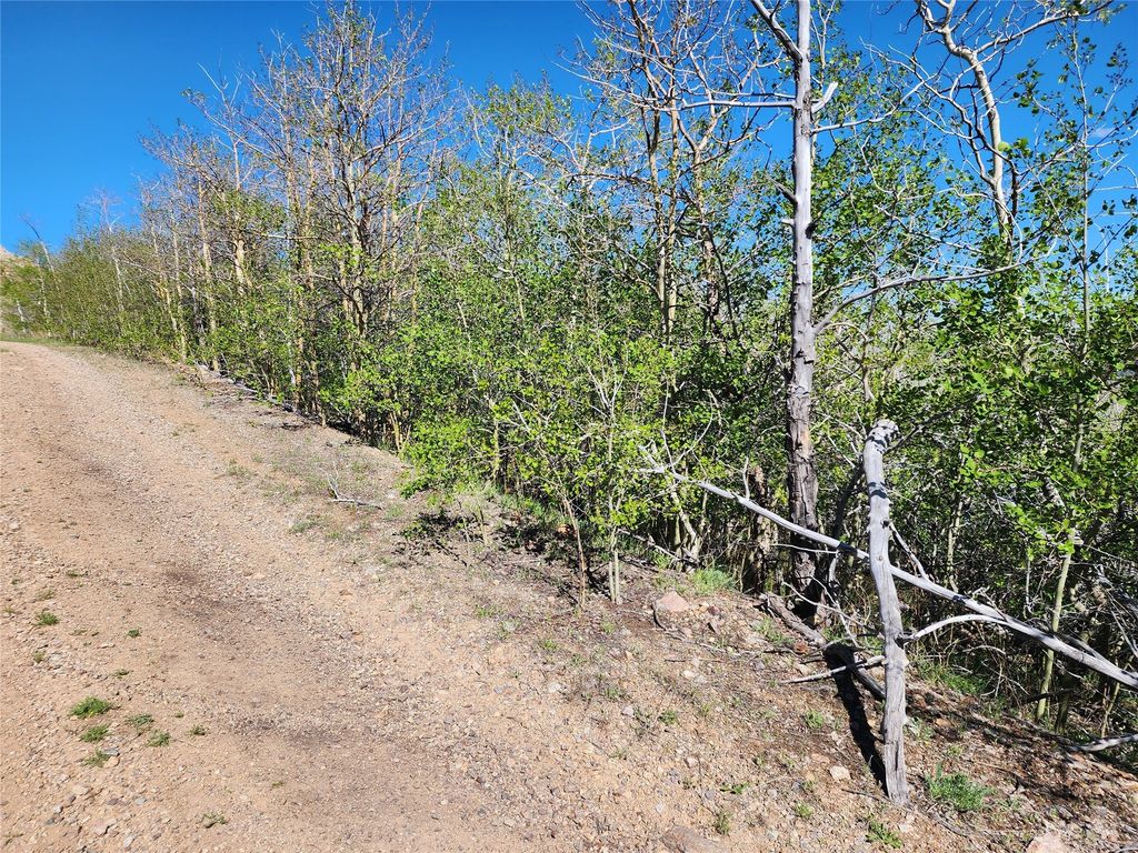 NHN Alpha Lode & Alpha Fraction Lode, Alpha Trail, Anaconda, MT 59711 photo 31