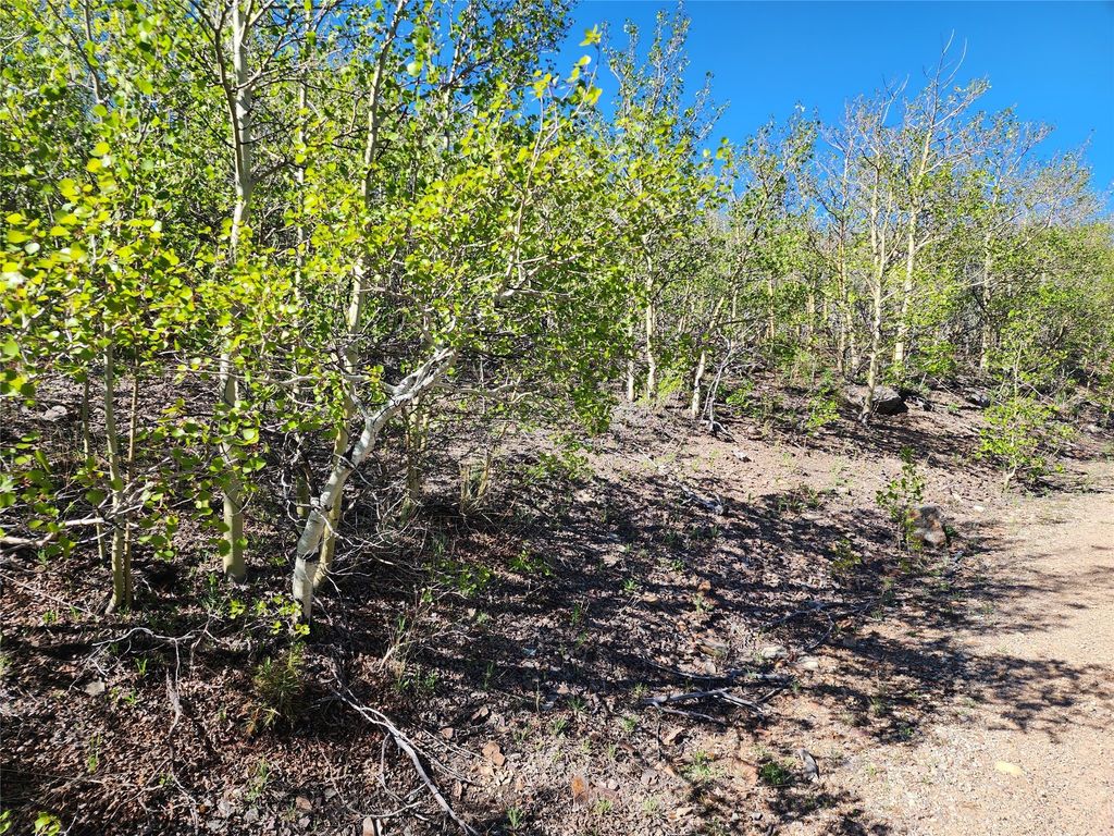 NHN Alpha Lode & Alpha Fraction Lode, Alpha Trail, Anaconda, MT 59711 photo 32