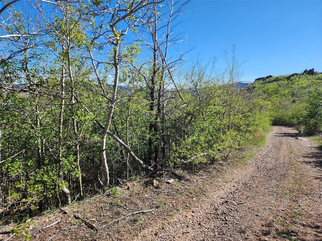 NHN Alpha Lode & Alpha Fraction Lode, Alpha Trail, Anaconda, MT 59711 photo 33