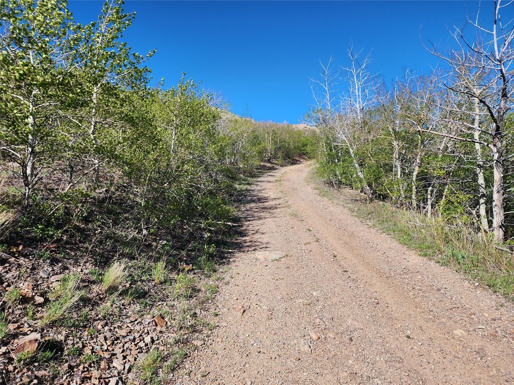 NHN Alpha Lode & Alpha Fraction Lode, Alpha Trail, Anaconda, MT 59711 photo 34