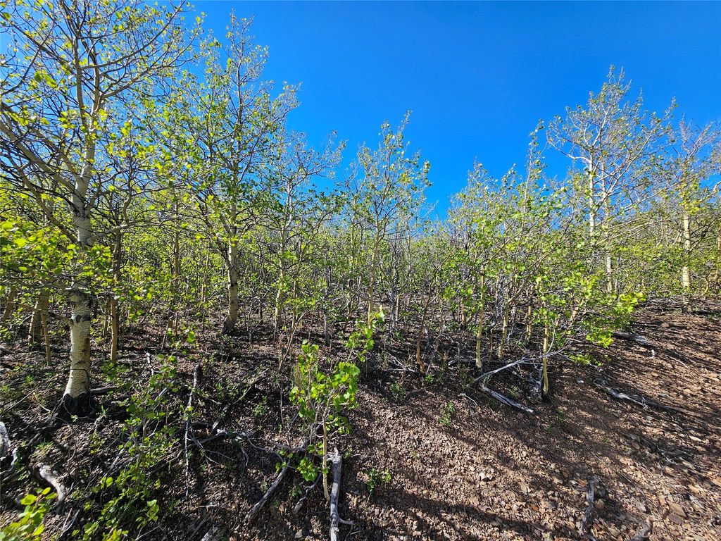 NHN Alpha Lode & Alpha Fraction Lode, Alpha Trail, Anaconda, MT 59711 photo 38