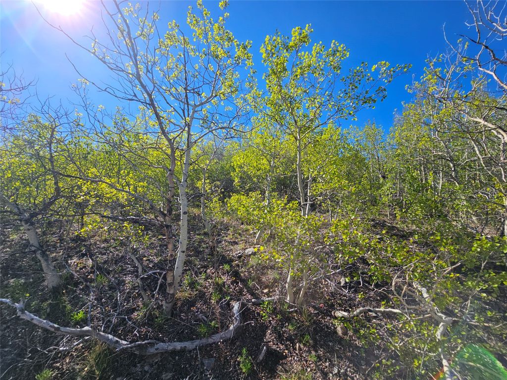 NHN Alpha Lode & Alpha Fraction Lode, Alpha Trail, Anaconda, MT 59711 photo 39