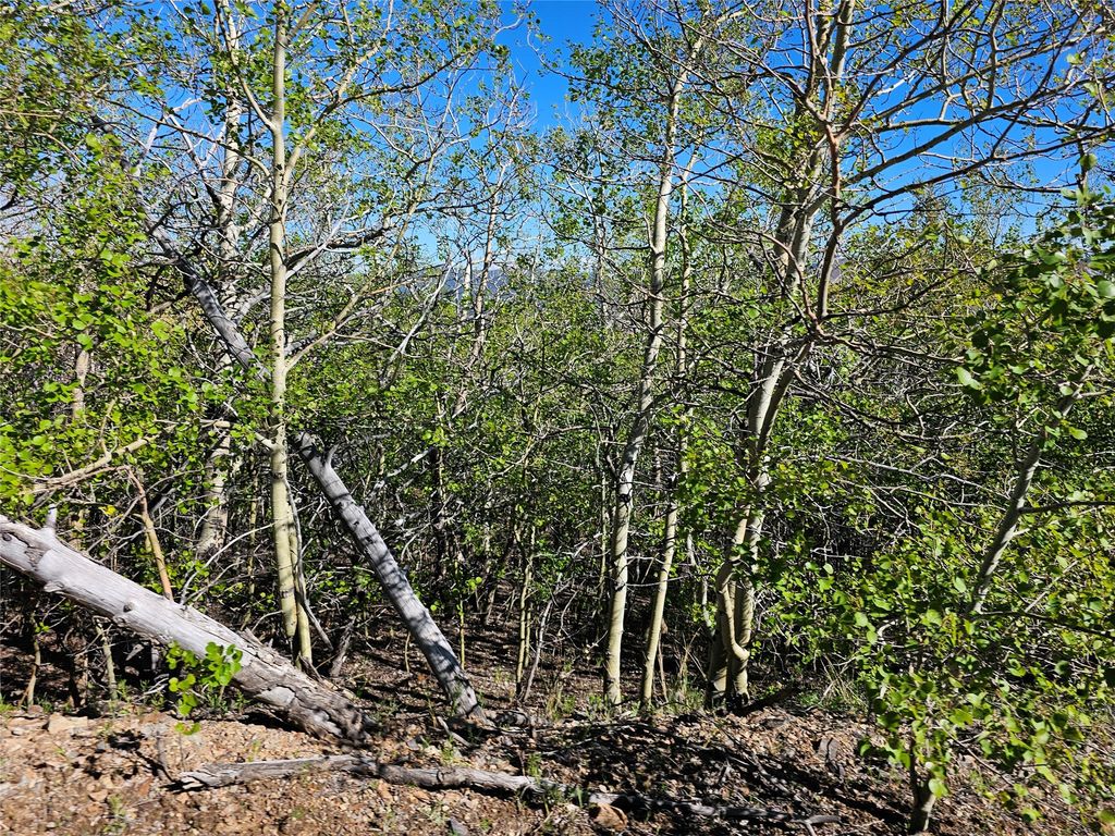 NHN Alpha Lode & Alpha Fraction Lode, Alpha Trail, Anaconda, MT 59711 photo 40