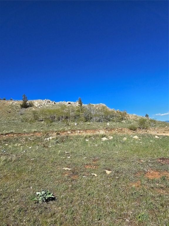 NHN Alpha Lode & Alpha Fraction Lode, Alpha Trail, Anaconda, MT 59711 photo 42